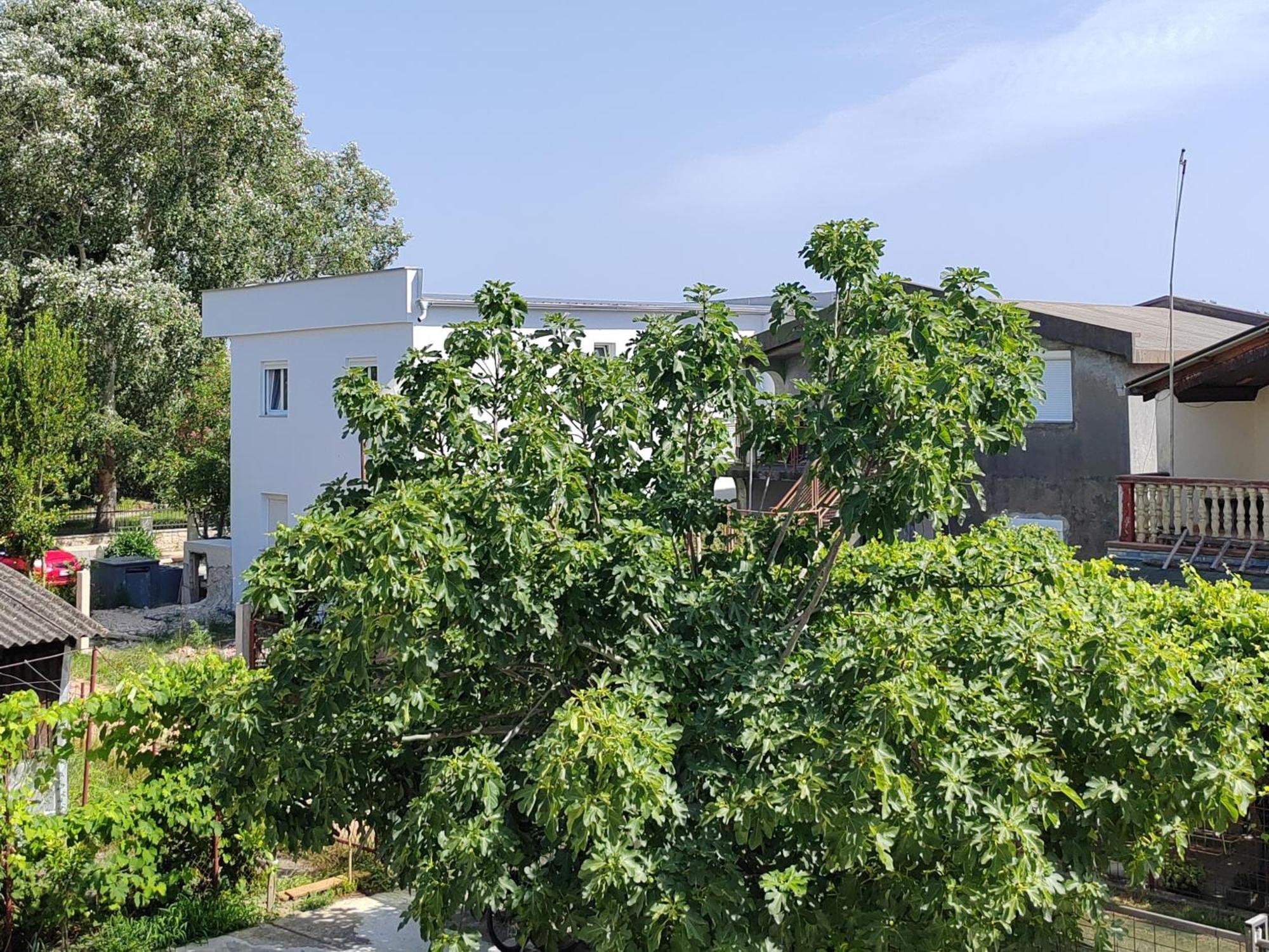 Vila Goga Ulcinj Exterior foto